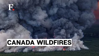 New York City Skyline Turns Orange Due to Canada Wildfires | Firstpost Earth