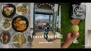 The BEST way to go WINE TASTING in Franschoek,Table Mountain,what we ate+ MORE #southafricanyoutuber