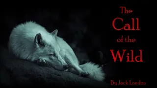 The Call of the Wild | Novel by Jack London | Chapters 5 & 6