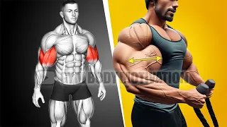 6 Best Exercises to Target Your Biceps - Gym Body Motivation