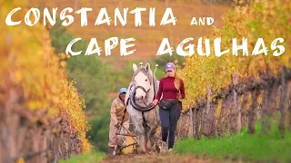 Wines of South Africa | Ep. 6 |  Constantia and Cape Agulhas region | Klien Constantia | Strandveld