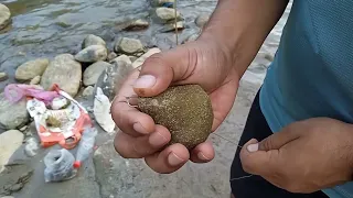 Fishing Copper Masheer in Balason River with traditional method