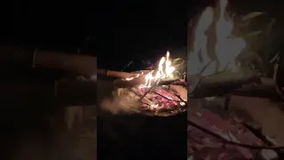 bamboo explodes under heat (french 🥖🍟)