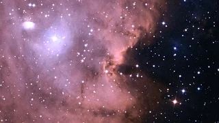 Zoom into NGC 2174 (the Monkey Head Nebula)