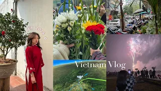 Vietnam Vlog 🇻🇳 | Về nhà ăn Tết cùng gia đình | Lunar New Year 2024 | Du Học Canada (eng) 🇨🇦