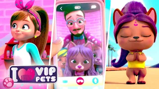 👒 La MEILLEURE SÉLECTION VIP Pets 👒 VIP PETS 🌈 ÉPISODES COMPLETS 💇🏼 DESSIN ANIMÉ pour ENFANTS