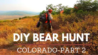 DIY COLORADO BLACK BEAR HUNT (FALL SPOT AND STALK) PART 2