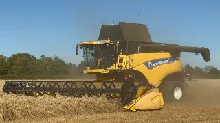 FARM UPDATE 179 HARVEST OATS, MARQUEE GOES UP, NAVY BEANS NEARLY READY.