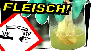 PIRANHASÄURE LÖST FLEISCH AUF! Knabberwasser vs Chickenwing - Gefährliche Experimente #124