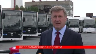 Полсотни автобусов НефАЗ с разной облицовкой прибыли в Новосибирск