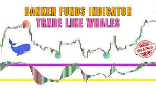 Unlock the Power of Whales: Banker Fund Flow TradinView Indicator