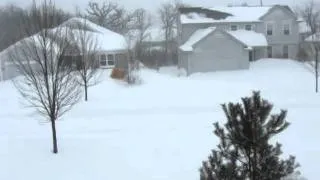 2011 Illinois Blizzard