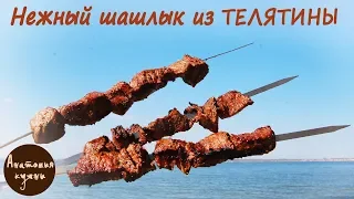 Сочный и нежный шашлык из телятины