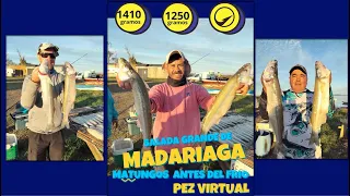 Pez Virtual - Salada Grande Madariaga - Programa 17. Mayo 2024