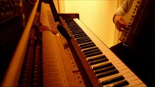 Rue Des Cascades - Yann Tiersen | Piano and accordion Cover