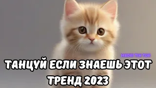 💗ТАНЦУЙ ЕСЛИ ЗНАЕШЬ ЭТОТ ТРЕНД 2023💗