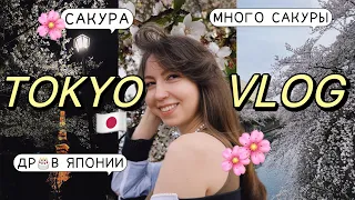 ЯПОНИЯ ВЛОГ 2024 🇯🇵 мой ДР в ТОКИО! успели на САКУРУ🌸трансфер через Китай, перелет, адовый джетлаг