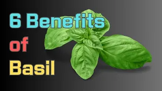 6 Benefits of Basil