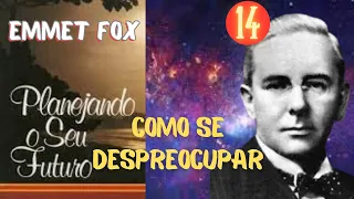 COMO SE DESPREOCUPAR - Planejando Seu Futuro - EMMET FOX - Parte 14