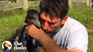 Emu Follows Her Human Dad Everywhere | The Dodo Soulmates