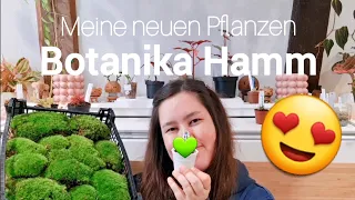 Meine neuen Pflanzen von der Botanika Hamm 🌱 | 2 Einkaufstipps 💚