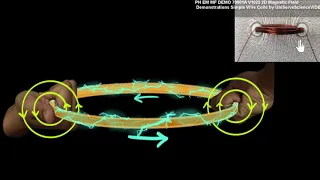 Magnetic field due to current carrying loop