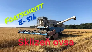 Žně 2022 - sklizeň ovsa // Fortschritt E-516 // Soukromník //