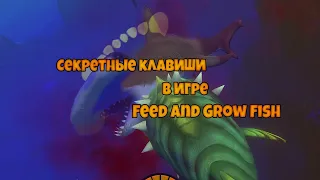 Секретные клавиши в игре Feed and Grow Fish 💻