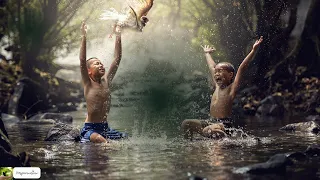 Calming Mountain Stream Sound |Best Place To Relax | Peaceful Birds Chirping in the Amazon Forest🌳