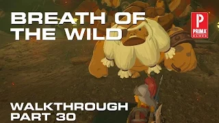 Zelda: Breath of the Wild Walkthrough Part 30 - Fireproof Lizard Roundup Quest, Shae Mo'Sah Shrine