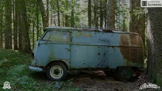 Copy of RESURRECTION   Rescue of a VW 1955 panelvan   Forest find !   YouTube