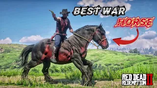 The best war horse for Arthur Morgan - RDR2