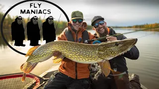 River Pike Fishing on Unknown Water l Flymaniacs l Niklaus Bauer & Jonathan Åhström