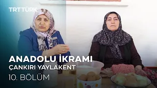 Su Böreği -Çankırı | Anadolu İkramı - 10. Bölüm