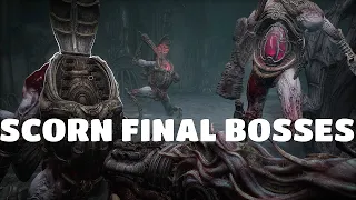 Scorn bosses in strikes. Scorn boss fight. Scorn final boss. Scorn gameplay final boss.