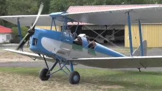 Tiger Moth Flying