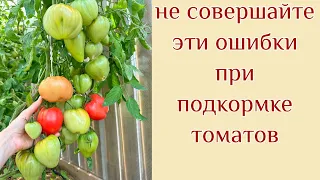 ПОДКОРМКА ТОМАТОВ В ИЮЛЕ для налива и созревания плодов. ЭТО ВАЖНО ЗНАТЬ!