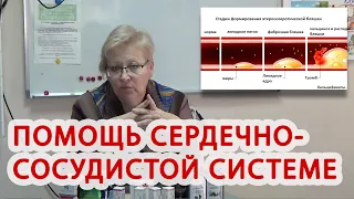 Помогаем сердечно-сосудистой системе после перенесенного ковида