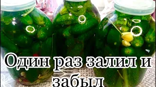 Бочковые огурцы на зиму🥒🥒лучший рецепт!