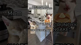 CAT MEMES: WHEN MOM COOKS YOUR FAVORITE PT.1 #relatable #catmemes #cat #catvideos #catlover