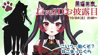 【新人Vtuber】黒猫黒奈　Live2Dお披露目します