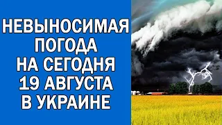 ПОГОДА НА 19 АВГУСТА : ПОГОДА НА СЕГОДНЯ