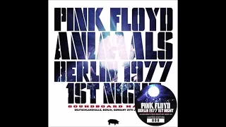 Pink Floyd Pigs Three Different Ones 1977 #thinkfloyd61