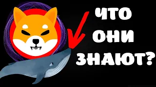 🤑КИТЫ АГРЕССИВНО СКУПАЮТ SHIBA INU! НОВОЕ СОТРУДНИЧЕСТВО ШИБА ИНУ