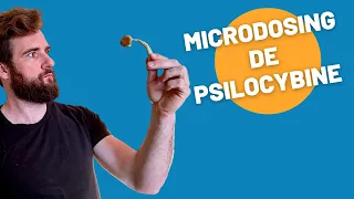 Microdosing de Psilocybine : 30 jours de test (et mon retour)