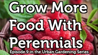 Grow More Food with Perennial Fruit and Nut Bushes, Vines and Trees