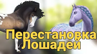 Перестановка лошадей/Schleich (Шляйх), Collecta (Коллекта), Safari (Сафари)/лошади Шляйх