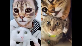 🤣Funny Cats & Dogs Scared Of Cat Mask Filter - Dog & Cat Reaction To Mask Filter