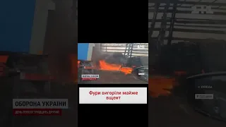 🔥 Жахлива пожежа після зіткнення! Вантажівки загорілися на трасі Одеса-Рені