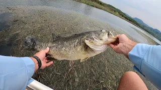 Finding Giant Bass at Inanda Dam, Bass Fishing South Africa.